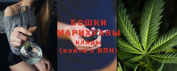 шишки Верхний Тагил